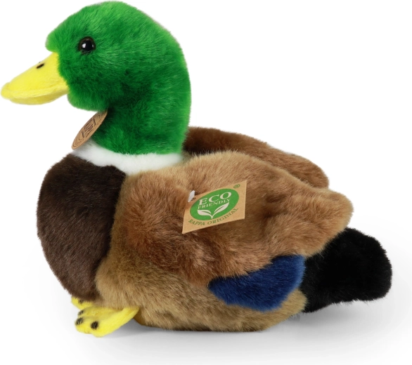 ECO-FRIENDLY medžiagos