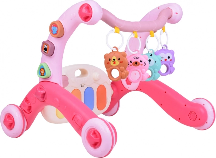 Stable push walker with sorter