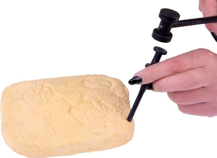 Lengvi kasinėjimai namų sąlygomis