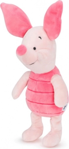 Autentiška DISNEY pasakos išvaizda