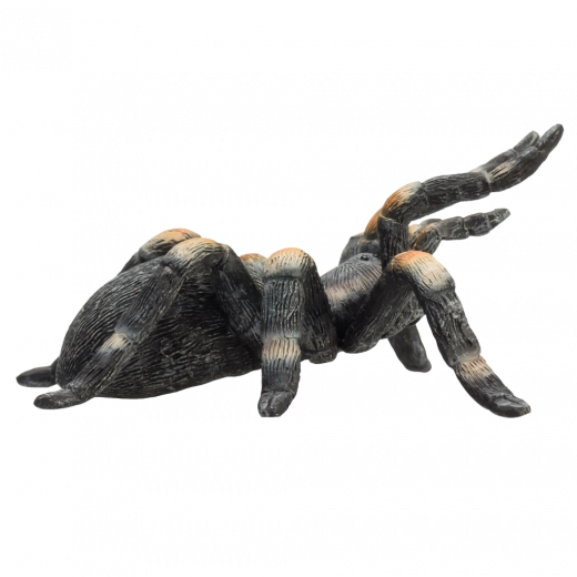 Universalus panaudojimas: žaidimams, kolekcijai ir mokymuisi