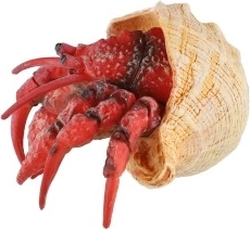 Kompaktiškas 7 cm dydis ir universalus panaudojimas