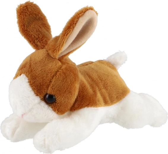 Mielos, realistiškos detalės