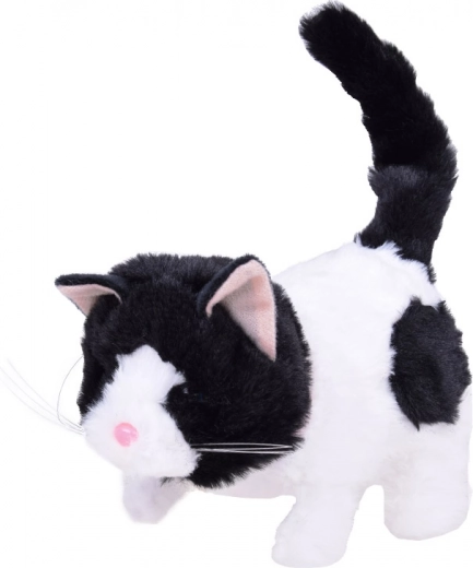 Realistiškos funkcijos didesniam smagumui