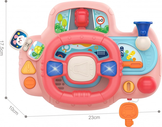 Realistiška vairavimo patirtis