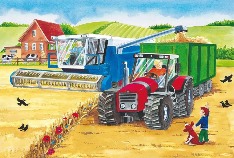 Lively Farm in Action