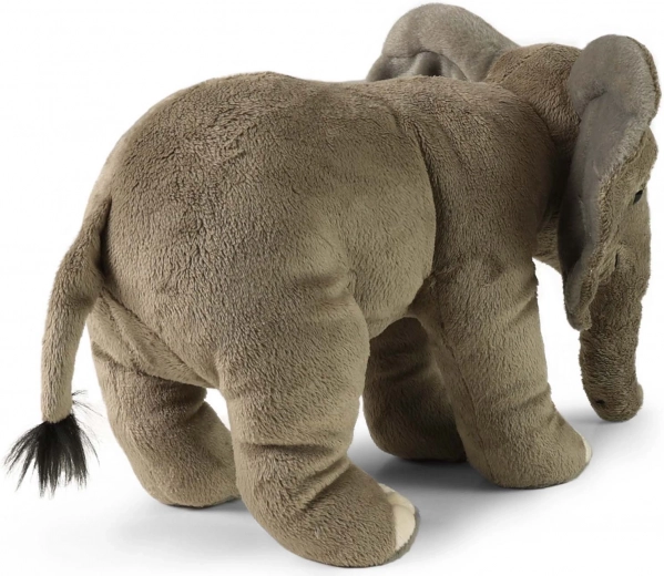 Minkštas ir švelnus pliušas kasdieniam glaustymuisi