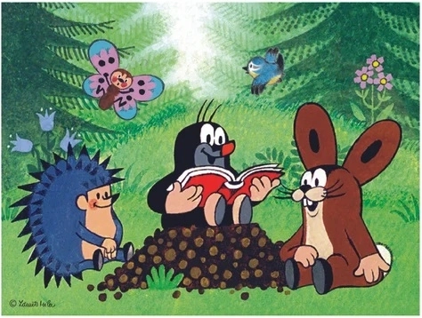 6 paveikslėlių iš 12 kaladėlių
