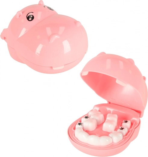 Begemotas su išimamais dantimis