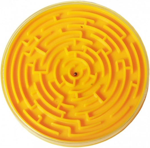 Kompaktiškas ir nešiojamas dizainas