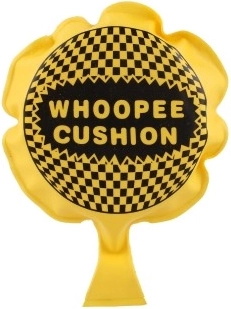 Kompaktiškas 10 cm dydis