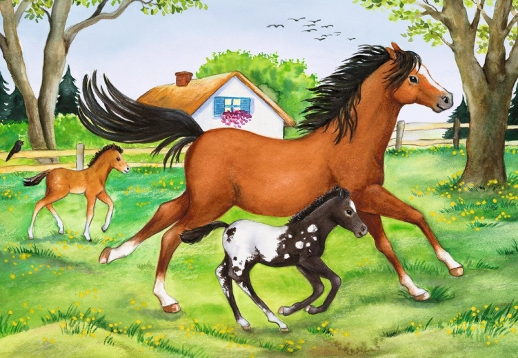 A magical world of horses that delights children