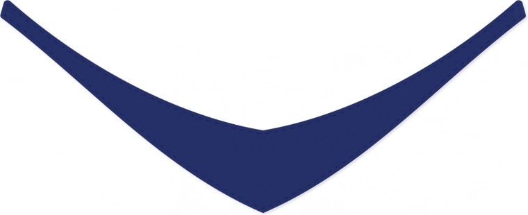 Stylish accessory in dark blue