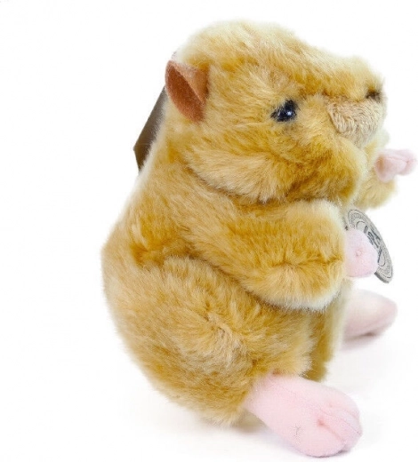 Realistiškas ir mielas dizainas