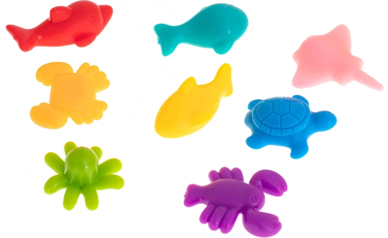 Jūros gyvūnų pažinimas