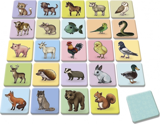 Ryškios ir kokybiškos iliustracijos