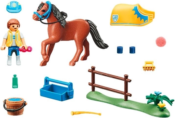 Viskas ponio priežiūrai