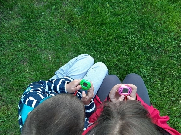 Pramoga bet kur – namuose ir lauke