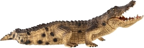 Realistiškos detalės ir natūralios spalvos