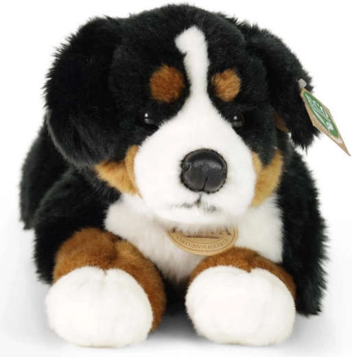 Švelnus, minkštas ir mielas glaustytis