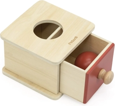 Montessori daikto pastovumo mokymasis