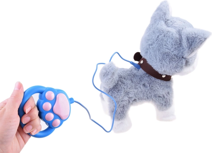 Vaikščiojimas su pavadėliu ir paprastas valdymas