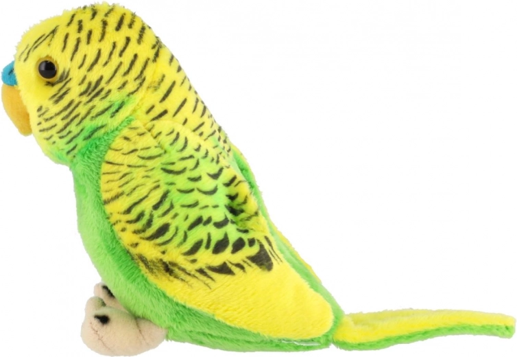 Realistiškos spalvos ir detalus apdirbimas