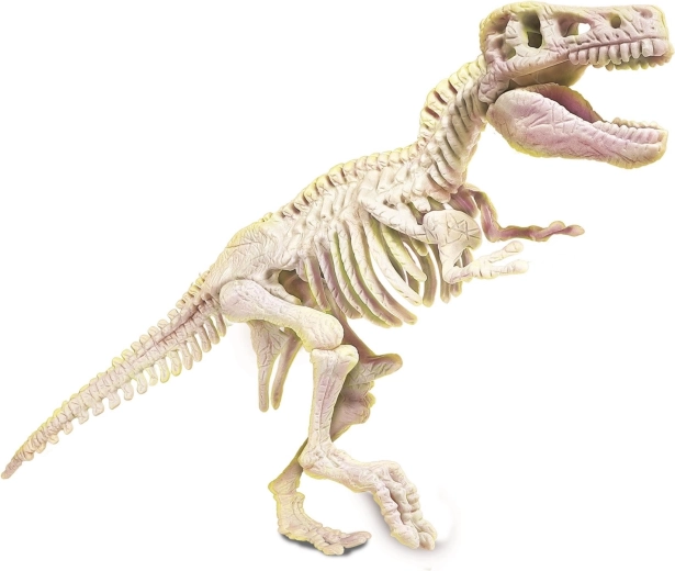 Surink fosforescuojantį skeletą