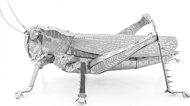 Išmanioji užraktų sistema be klijų