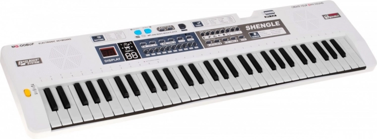 Tono ir ritmų įvairovė