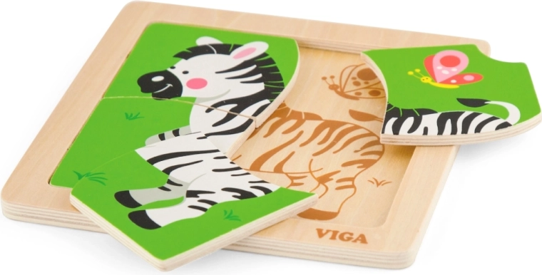 Kognityvinės raidos skatinimas