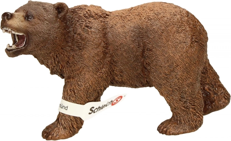 Ideal for learning and collecting