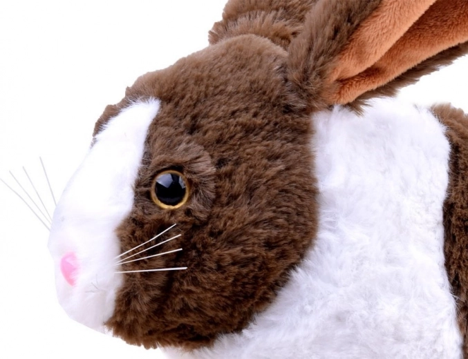 Realistiška išvaizda ir švelnus pliušas