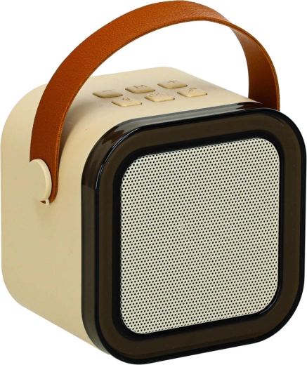 Kompaktiškas 6 W garsiakalbis su Bluetooth