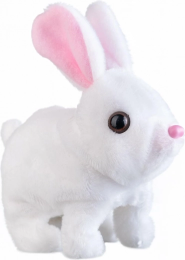 Šokinėja, judina ausis ir kalba