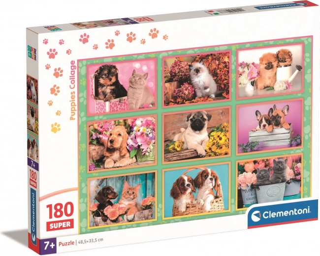 Vivid colors and high-quality SuperColor print