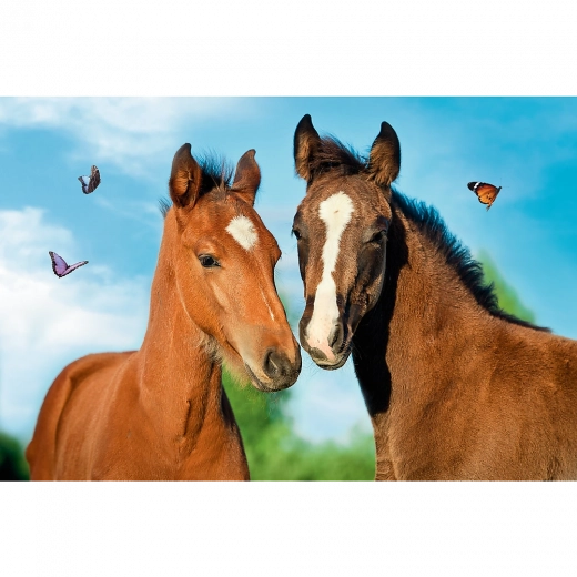 Pilnas paveikslas iš jauniklių