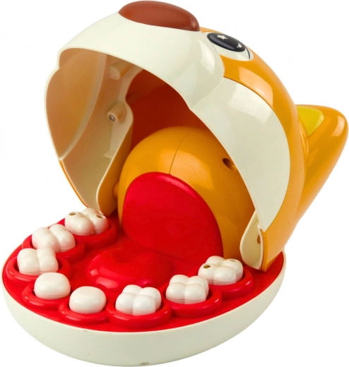 8 išimamų dantų ir realistiniai įrankiai