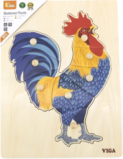 Formų pažinimas ir loginis dėliojimas