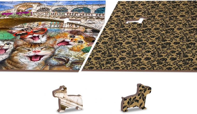 Double-sided Puzzle 2-in-1