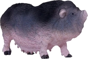 Edukacinė vertė