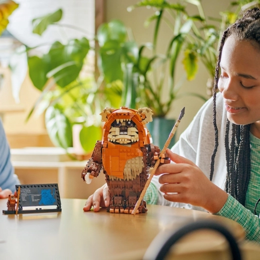 Minifigūrėlė ir informacinė lentelė
