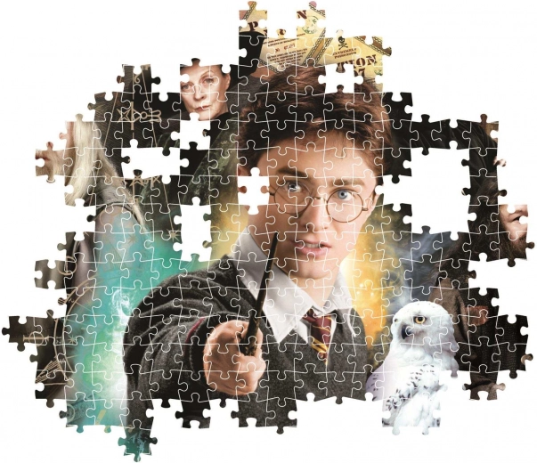 Magical HARRY POTTER motif