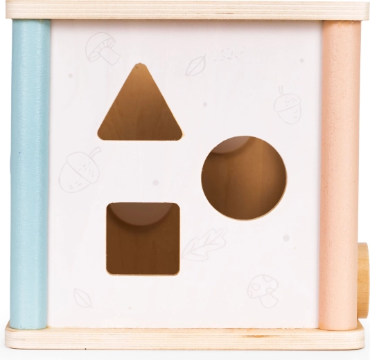 Figūrų rūšiuoklis su spalvotais kaladėliais