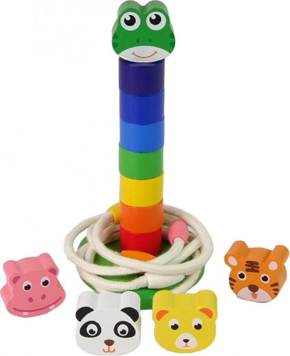 Motor skills and coordination development