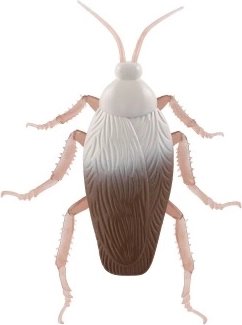 Realistiškas atlikimas