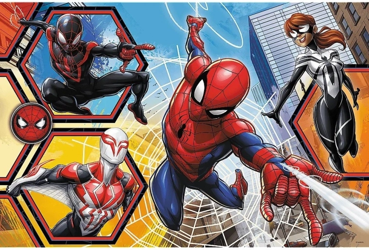 Beloved hero SPIDER-MAN