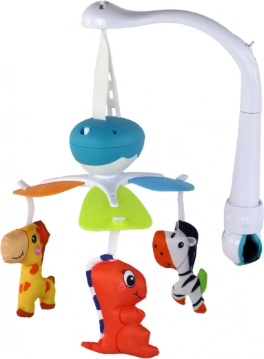 Adjustable height