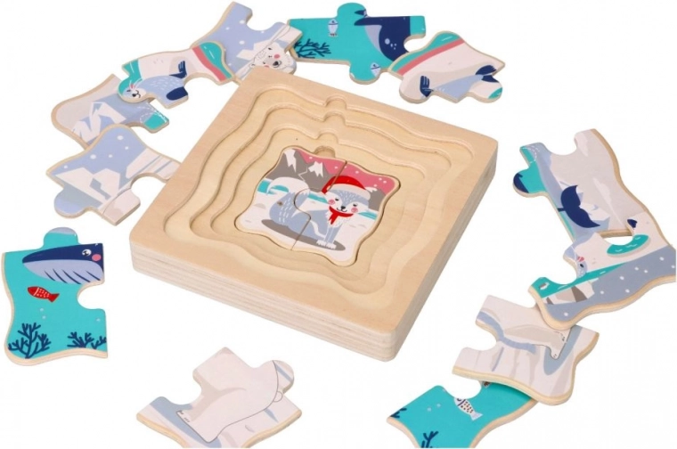 Jaudinanti arktinė tematika