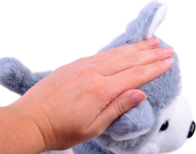 Reakcija į prisilietimą ir linksmas lojimas